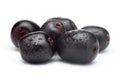 Close-Up of collection of Indian Ayurvedic medicinal fresh organic fruit jamun Syzygium Cumini or black plum