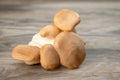 Close up of a collection of Mushroom tops on an old tabletop