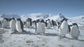 Close-up colony of Antarctica penguins on snow. Royalty Free Stock Photo