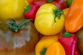 Macro of a collection of colorful peppers and tomatoes Royalty Free Stock Photo