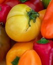 Close up color macro of a collection of colorful peppers and tomatoes Royalty Free Stock Photo