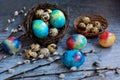 Close-up of colored dyed chicken, quail eggs, nest and pussy willow branches on a dark blue background. Easter Royalty Free Stock Photo