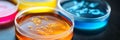 Close-up of colored petri dishes with biological samples Royalty Free Stock Photo