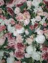 Close up of colorful artificial flowers wall background . Royalty Free Stock Photo