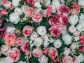 Close up of colorful artificial roses flowers wall background . Royalty Free Stock Photo