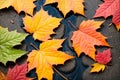 Close up of colorful autumn leaves floating in a puddle Royalty Free Stock Photo