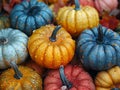 Close-up of colorful autumn pumpkins Royalty Free Stock Photo