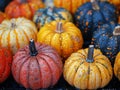 Close-up of colorful autumn pumpkins Royalty Free Stock Photo