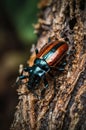 Striking Macro Photograph of a Jewel Scarab Beetle on Bark Royalty Free Stock Photo