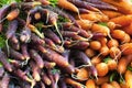 Close up of colorful bunches of carrots Royalty Free Stock Photo