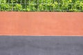 Colorful concrete paint fence wall and green plant on background