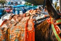 Colorful decorated donkeys famous as Burro-taxi waiting for passengers in Mijas, a major tourist attraction. Andalusia