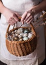 Close up of colorful Easter eggs in a basket Royalty Free Stock Photo