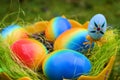 Close up from colorful Easter eggs in a bowl Royalty Free Stock Photo