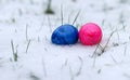 Close up of colorful easter eggs in snow, bury background Royalty Free Stock Photo