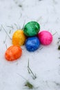 Close up of colorful easter eggs in snow, bury background Royalty Free Stock Photo