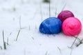Close up of colorful easter eggs in snow, bury background Royalty Free Stock Photo