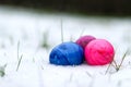 Close up of colorful easter eggs in snow, bury background Royalty Free Stock Photo