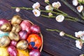 Close-up colorful eggs and spring flowers.