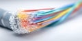 Close-up of colorful fiber optic cables transmitting data with light Royalty Free Stock Photo