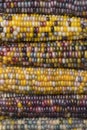 Close up of colorful gem glass corn on cob