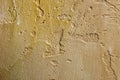 Close-up of colorful golden bronze plastered uneven stucco wall. Abstract texture, chaotic copy space background. Decorative Royalty Free Stock Photo