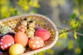 Close-up of colorful hand made Easter eggs and little bunnies figurines in a basket outdoors Royalty Free Stock Photo