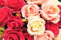 Close up colorful imitation or artificial rose flower background Royalty Free Stock Photo