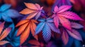 A close up of a colorful leaf with many colors, AI