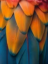 Close-up of a colorful parrots feathers