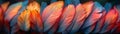 Close-up of a colorful parrots feathers