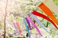 Close up of a colorful party banner tied between trees in a park at an open air celebration event. Royalty Free Stock Photo