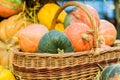 Close up of colorful pumpkins in a basket, autumn still life Royalty Free Stock Photo