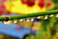 Colorful raindrops Royalty Free Stock Photo
