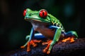 Close-up of colorful red-eyed tree frog, Generative AI