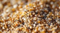 Close-Up of Colorful Sand Grains Texture Royalty Free Stock Photo