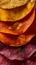 Close-up of colorful stacked beetroot tortillas