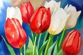 Close Up Colorful Tulips At 2309-2024 Royalty Free Stock Photo