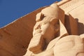 Close-up the colossal statue of Ramesses II