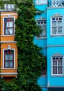 Close up of colorful buildings in Balat Istanbul with green creepers