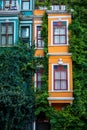 Close up of colorful buildings in Balat Istanbul with green creepers