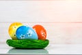 Close up of colourful Easter eggs in a nest