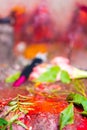 Close-up on colourful shrine details at temple in Nepal. Royalty Free Stock Photo