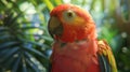 a close up of a colourfull parrot