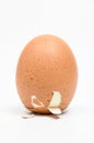 Close-up of a Columbus egg standing on a white background Royalty Free Stock Photo