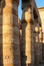 Close up of the columns of the Karnak temple hall