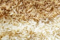 Close up of commodities that are needed in everyday life and that are traded on the stock market, such commodity as rice