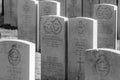 Close Up Of Commonwealth War Graves At The Nieuwe Ooster Graveyard At Amsterdam The Netherlands 4-3-2019 In Black And White