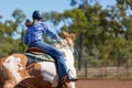 Horse And Rider Competing In Barrel Race At Outback Country Rodeo Royalty Free Stock Photo