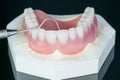 Complete denture or full denture.
